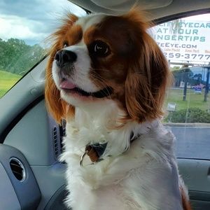 Meet your Posher, Brian